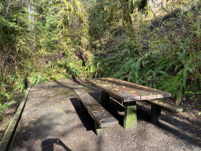 A photo of Site 008 of Loop Willaby at WILLABY CAMPGROUND with Picnic Table, Tent Pad