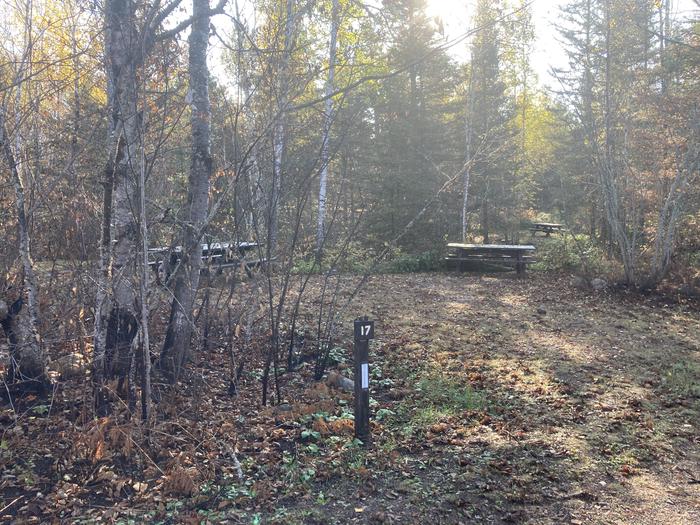 A photo of Site 17 of Loop North Loop at McDougal Lake Campground with No Amenities Shown