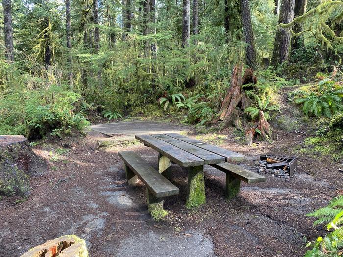 A photo of Site 003 of Loop Willaby at WILLABY CAMPGROUND with Picnic Table, Fire Pit, Tent Pad