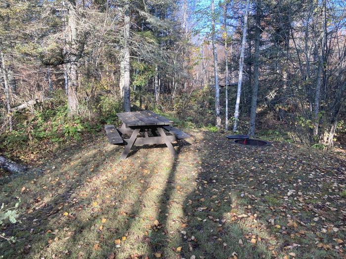 A photo of Site 20 of Loop North Loop at McDougal Lake Campground with Picnic Table, Fire Pit