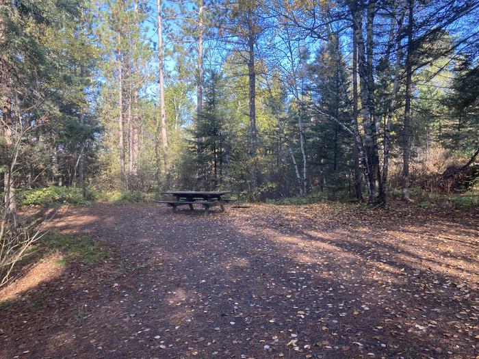 A photo of Site 5 of Loop South Loop at McDougal Lake Campground with Picnic Table, Fire Pit