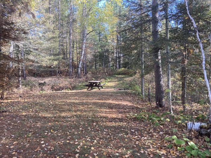 A photo of Site 8 of Loop South Loop at McDougal Lake Campground with Picnic Table, Fire Pit
