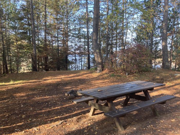 A photo of Site 7 of Loop South Loop at McDougal Lake Campground with Picnic Table, Tent Pad