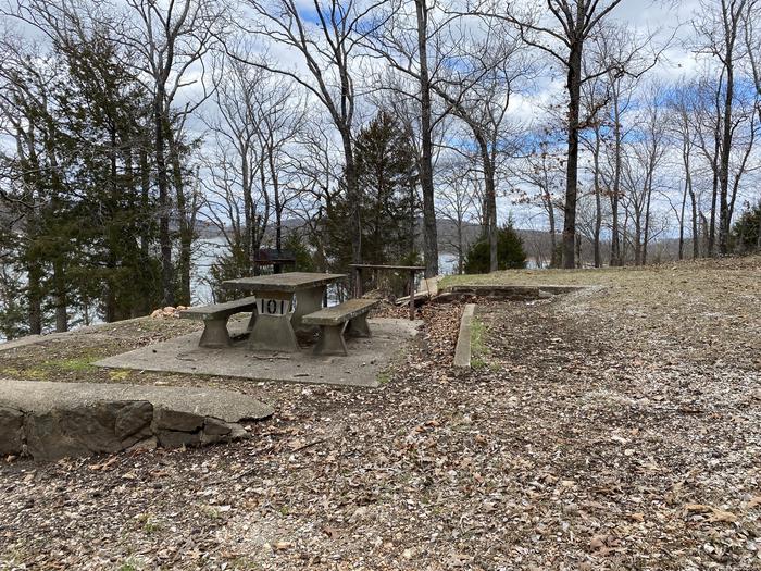 A photo of Site 101 of Loop 0512 at COOKSON BEND with Picnic Table, Fire Pit