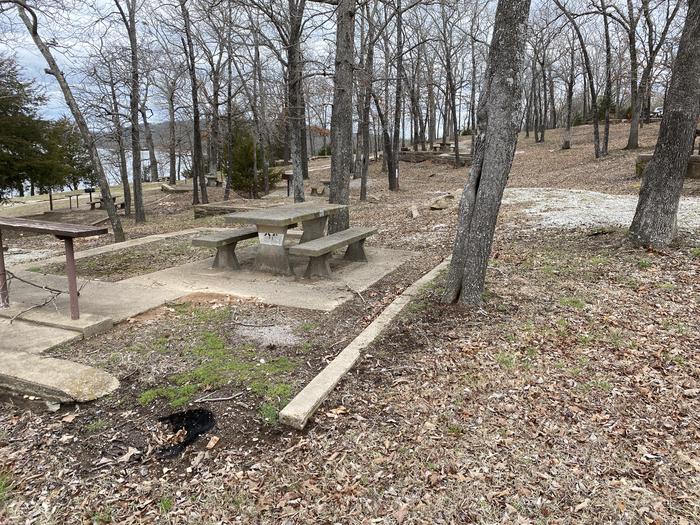 A photo of Site 096 of Loop 0512 at COOKSON BEND with Picnic Table, Fire Pit, Shade