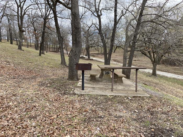 A photo of Site 089 of Loop 0512 at COOKSON BEND with Picnic Table, Fire Pit, Shade