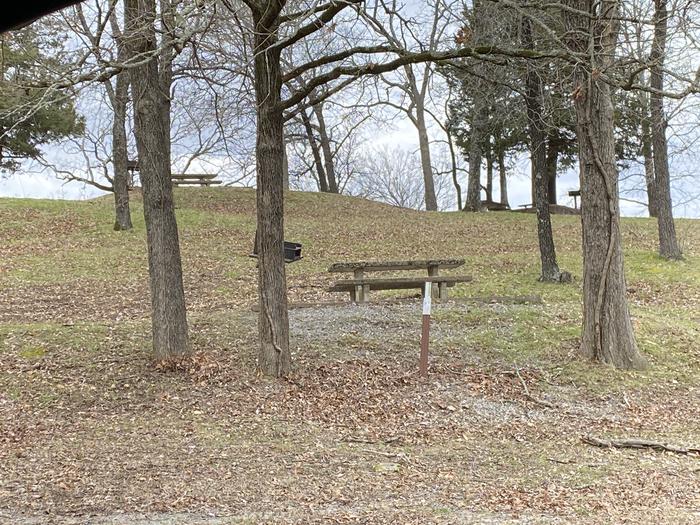 A photo of Site 087 of Loop 0512 at COOKSON BEND with Picnic Table, Fire Pit, Shade