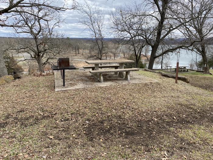 A photo of Site 064 of Loop 0512 at COOKSON BEND with Picnic Table, Fire Pit, Shade