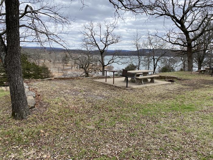 A photo of Site 062 of Loop 0512 at COOKSON BEND with Picnic Table, Fire Pit, Shade