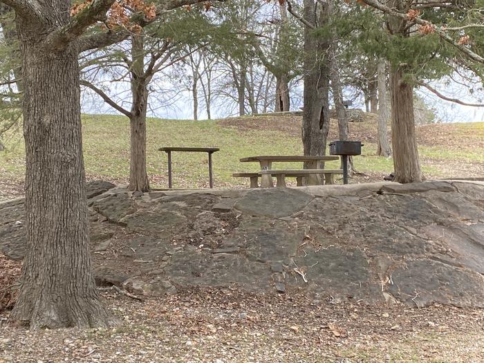 A photo of Site 088 of Loop 0512 at COOKSON BEND with Picnic Table, Fire Pit, Shade