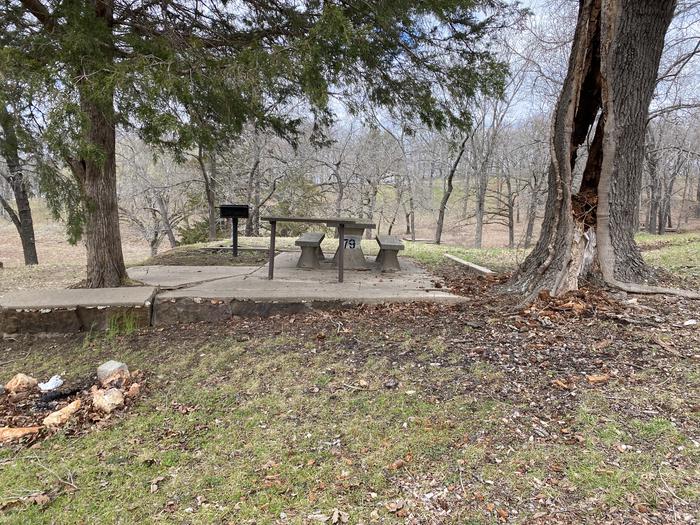 A photo of Site 079 of Loop 0512 at COOKSON BEND with Picnic Table, Fire Pit, Shade