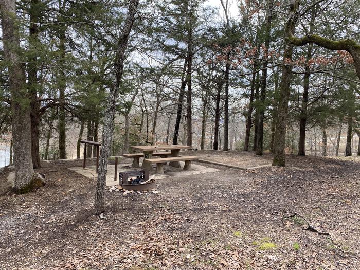 A photo of Site 121 of Loop 0512 at COOKSON BEND with Picnic Table, Fire Pit, Shade, Tent Pad