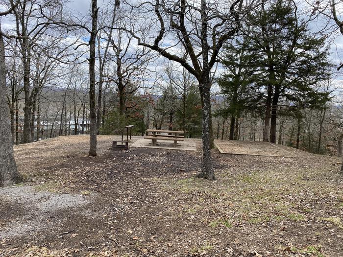 A photo of Site 113 of Loop 0512 at COOKSON BEND with Picnic Table, Fire Pit, Shade, Tent Pad