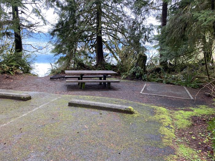A photo of Site 014 of Loop Willaby at WILLABY CAMPGROUND with Picnic Table, Fire Pit, Tent Pad, Waterfront