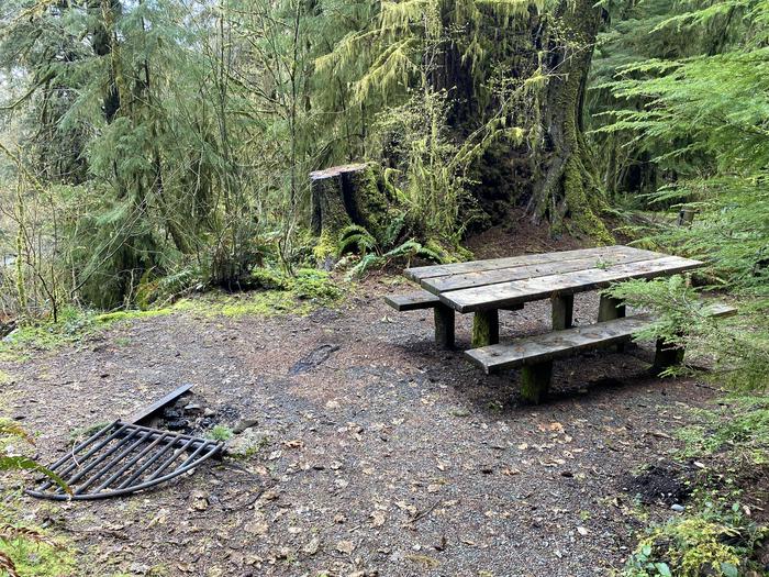 A photo of Site 017 of Loop Willaby at WILLABY CAMPGROUND with Picnic Table, Fire Pit