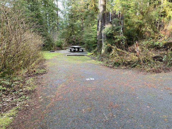 A photo of Site 020 of Loop Willaby at WILLABY CAMPGROUND with Picnic Table