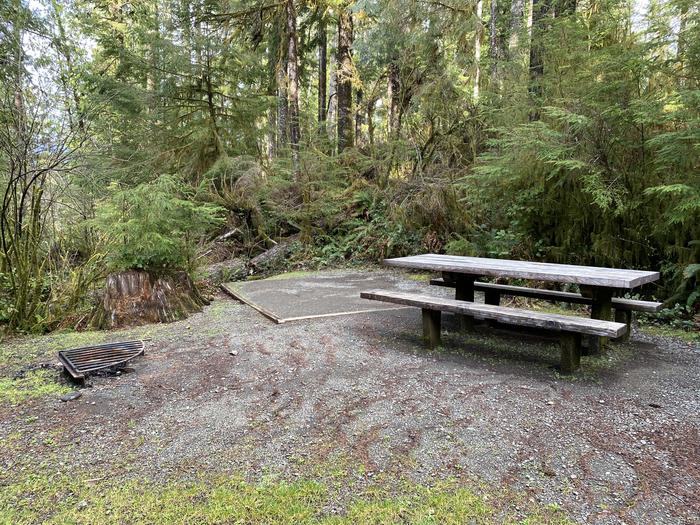 A photo of Site 020 of Loop Willaby at WILLABY CAMPGROUND with Picnic Table, Fire Pit, Tent Pad
