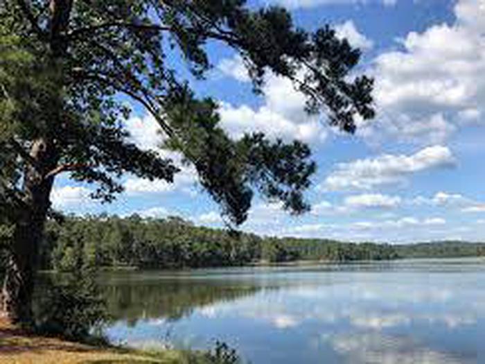 Preview photo of Payne Lake Recreation Area - Day Use
