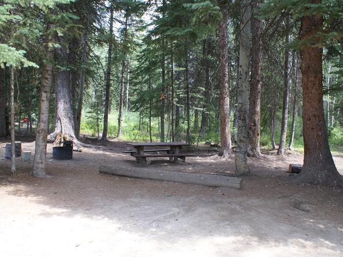 Dry Lake site 3 with table, fire pit and treessite 3 with table, fire pit and trees