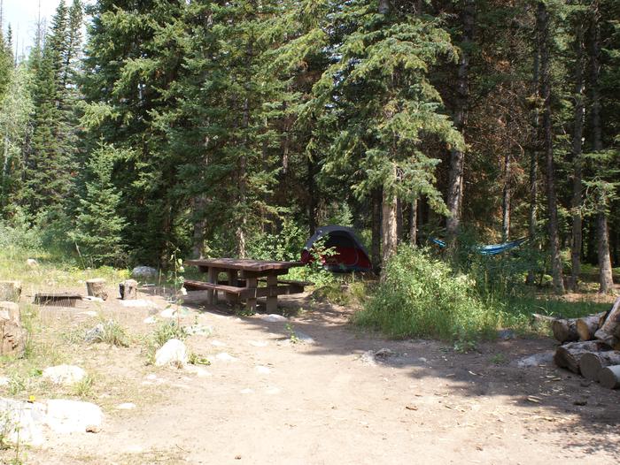 Dry Lake site 5 with table, fire pit and treessite 5 with table, fire pit and trees