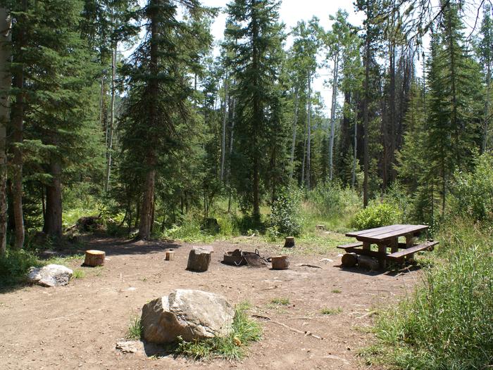 Dry Lake site 1 with table, fire pit and treessite 1 with table, fire pit and trees