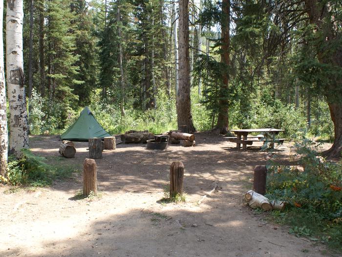 Dry Lake site 2 with table, fire pit and treessite 2 with table, fire pit and trees
