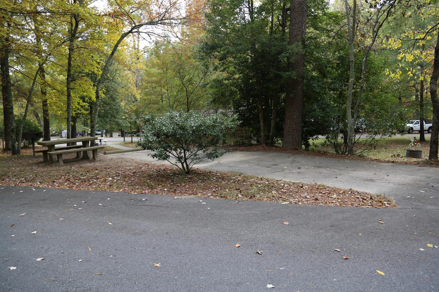 A flat driveway with foliage and a picnic bench next to it. A picnic bench sits alongside the pull in for Site #3. 
