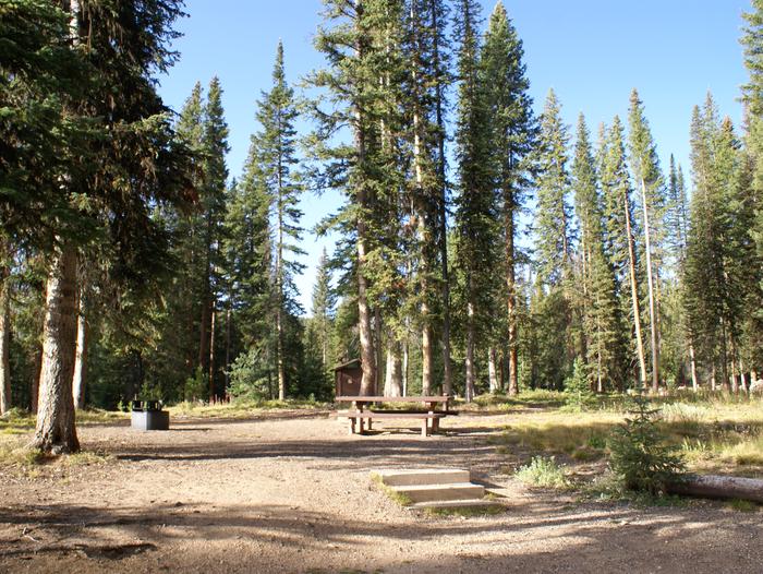 Meadows CG site 3 table, fire ring and trees site 3 table, fire ring and trees