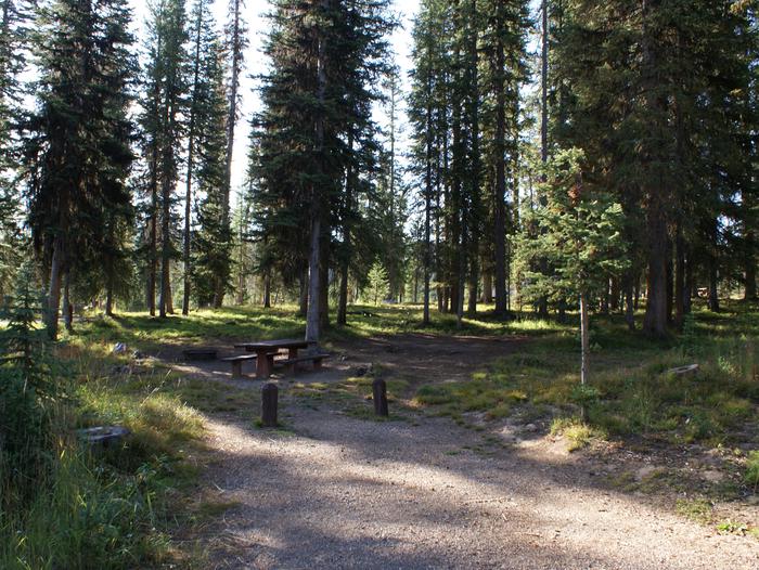 Meadows CG site 6 table, fire ring and trees site 6 table, fire ring and trees