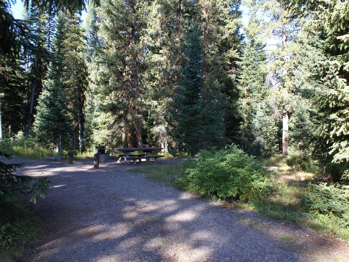 Meadows CG site 8 table, fire ring and treessite 8 table, fire ring and trees