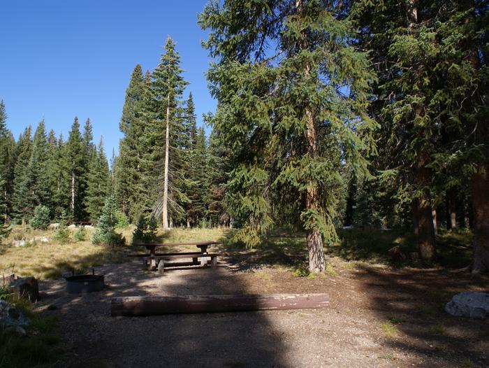 Meadows CG site 13 table, fire ring and trees