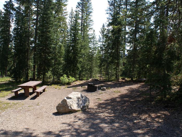Meadows CG site 15 table, fire ring and treessite 15 table, fire ring and trees