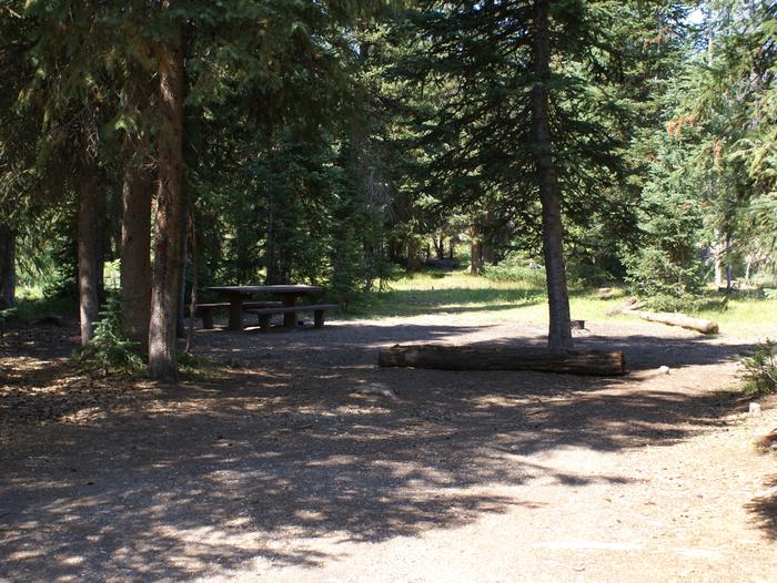Meadows CG site 18 table, fire ring and treessite 18 table, fire ring and trees