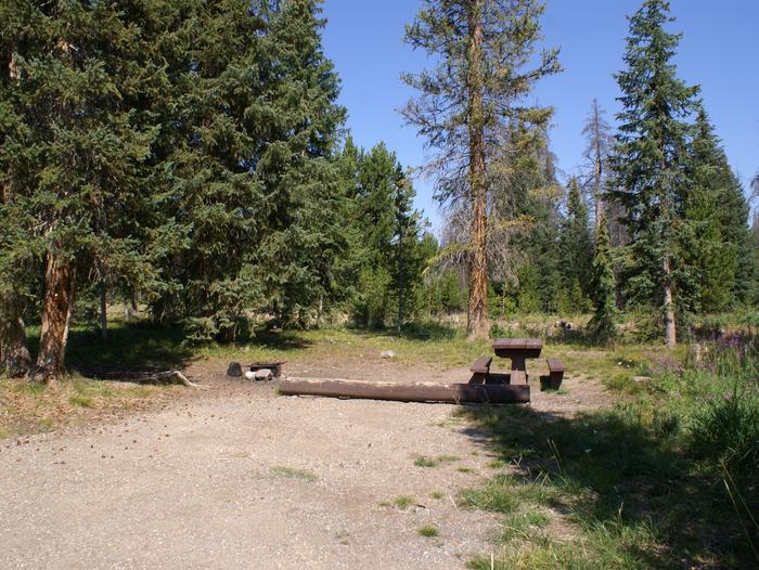 Meadows CG site 19 table, fire ring and treessite 19 table, fire ring and trees