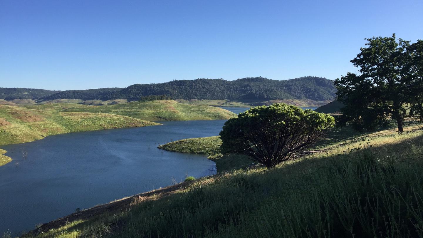 Distant view of New Melones lake with green grass in the foreground and rolling hills in the background.Distant view of New Melones lake.