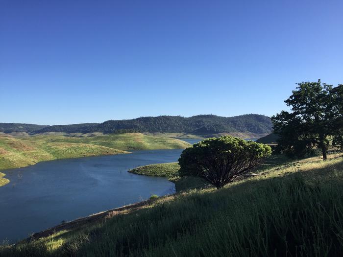 New Melones Lake with green grass in foreground, rolling hills in the distance.New Melones Lake