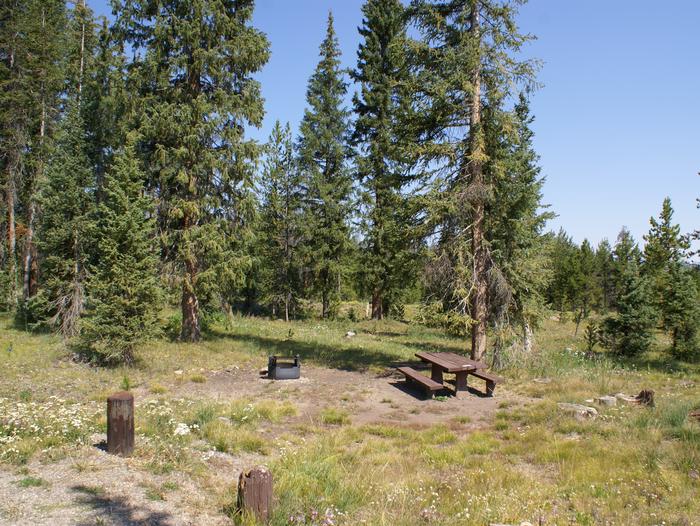 Meadows CG site 21 table, fire ring and treessite 21 table, fire ring and trees