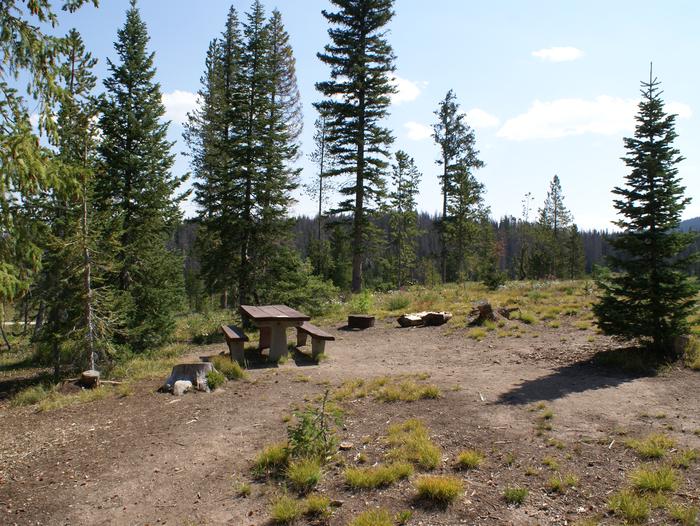 Meadows CG site 23 table, fire ring and treessite 23 table, fire ring and trees
