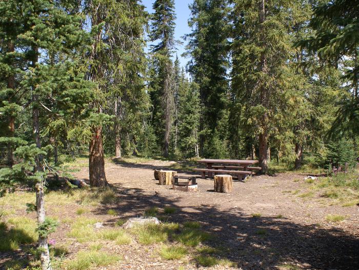 Meadows CG site 27 table, fire ring and treessite 27 table, fire ring and trees