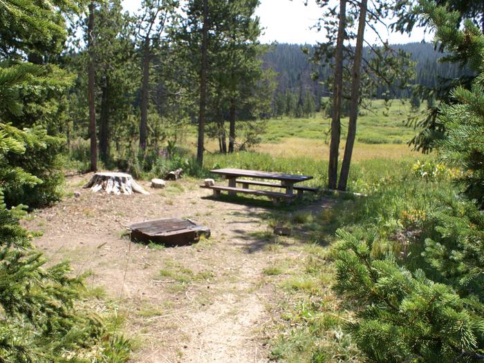 Meadows CG site 29 walk in, table, fire ring and trees site 29 walk in, table, fire ring and trees