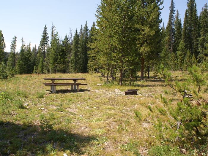 Meadows CG site 31 walk in table, fire ring and treessite 31 walk in table, fire ring and trees