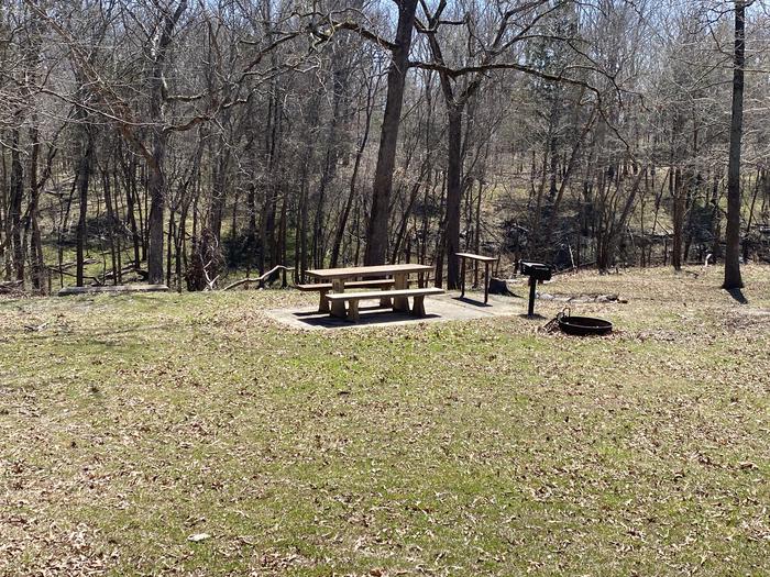 A photo of Site A19 of Loop PBAI at PETTIT BAY with Picnic Table, Fire Pit
