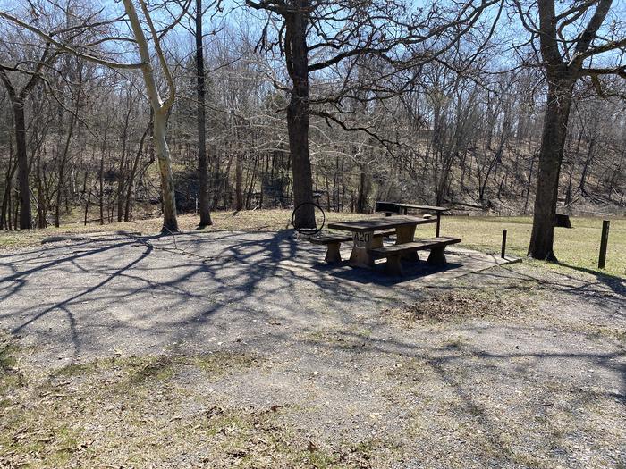A photo of Site A20 of Loop PBAI at PETTIT BAY with Picnic Table, Fire Pit, Shade, Tent Pad