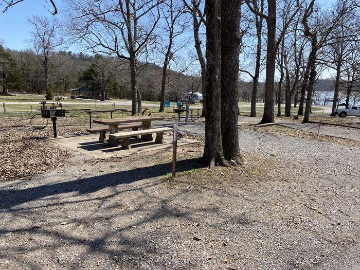 A photo of Site 44 of Loop PBA2 at PETTIT BAY with Picnic Table, Electricity Hookup, Fire Pit, Shade, Water Hookup