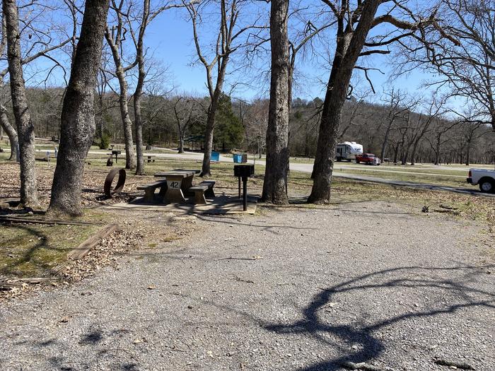 A photo of Site 42 of Loop PBA2 at PETTIT BAY with Picnic Table, Electricity Hookup, Fire Pit, Shade, Water Hookup