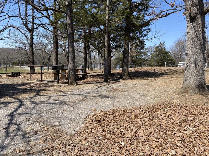 A photo of Site 33 of Loop PBA2 at PETTIT BAY with Picnic Table, Electricity Hookup, Fire Pit, Shade, Water Hookup