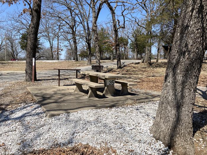 A photo of Site 35 of Loop PBA2 at PETTIT BAY with Picnic Table, Fire Pit, Shade