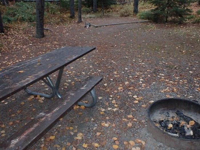 Picnic table, tent pad, and campfire ring in a wooded, leaf-covered campsite.Picnic table, tent pad, and campfire ring in a wooded, leaf-covered campsite..