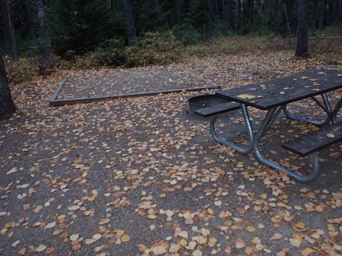 Picnic table and campfire ring in a wooded, leaf-covered campsite.