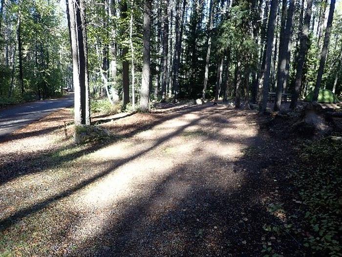 Bare, gravel driveway in wooded campground.